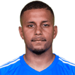 Anderson profile