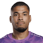 Warleson profile