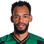 Anderson profile