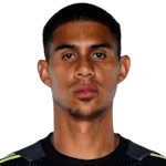 D. Vásquez profile