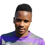Z. Ngcobo profile