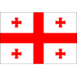 Georgia U19 crest