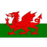 Wales U19 crest