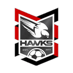 Holland Park Hawks crest