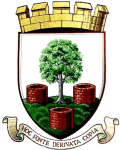 Wells City crest