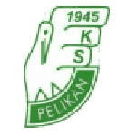 Pelikan Łowicz crest