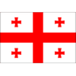 Georgia U17 crest