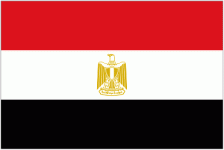 Egypt W crest