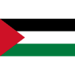 Palestine U20 crest