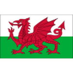 Wales U18 crest