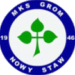 Grom Nowy Staw crest