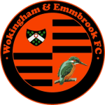 Wokingham Town crest