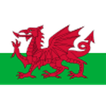 Wales U17 W crest