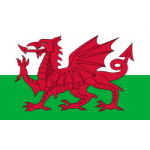 Wales U19 W crest
