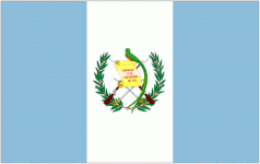 Guatemala U19 crest