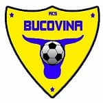 Bucovina Rădăuţi crest