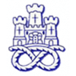Newcastle Town crest