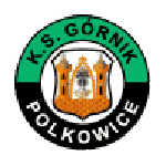 Górnik Polkowice crest